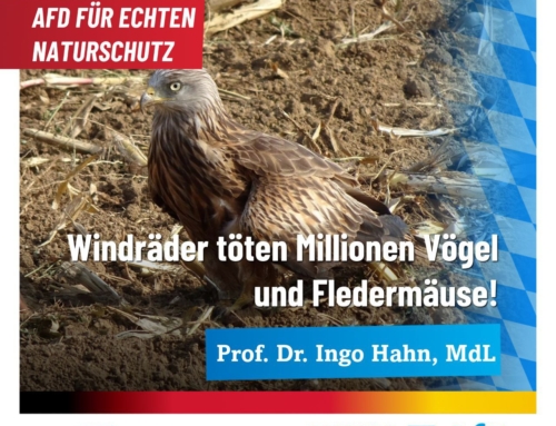 AfD für echten Naturschutz – Windräder töten Millionen Vögel und Fledermäuse