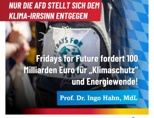 Nur die AfD stellt sich dem Klima-Irrsinn entgegen – Fridays for Future fordert 100 Milliarden Euro für „Klimaschutz“ und Energiewende!