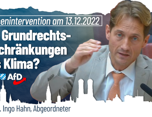 Bald Grundrechts-Einschränkungen fürs Klima?