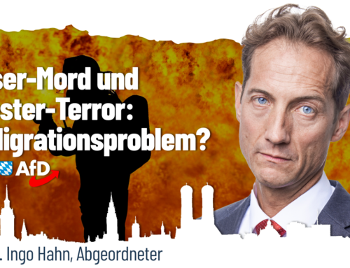 Messer-Mord und Silvester-Terror: ein Migrationsproblem?