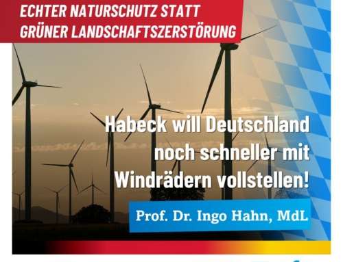 Habeck will Deutschland noch schneller mit Windrädern vollstellen!