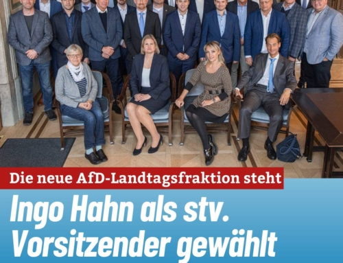 AfD-Landtagsfraktion im bayerischen Landtag