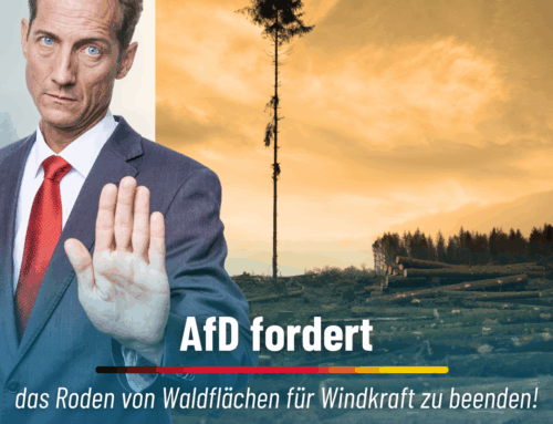 AfD fordert, das Roden von Waldflächen für Windkraft zu beenden