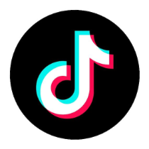 Prof. Dr. Ingo Hahn auf TikTok
